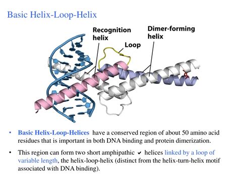 hlmix|hlmix prospectus.